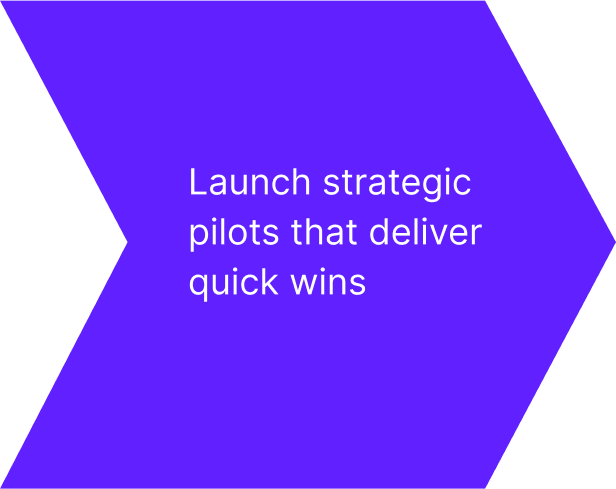 Launch strategic pilots